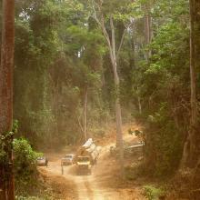 Pioneering forest transparency website launched