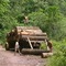Deforestation in Pasco generated losses of up to US$1.750 million