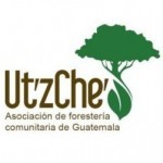 Asociation of Guatemalan Forest Communities Ut´z Che´