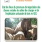 Etat des lieux du processus de négociation des clauses sociales de cahier des charges et de l’exploitation artisanale de bois en RDC