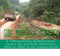 Guide Pratique de Formation OIF pour les OSC