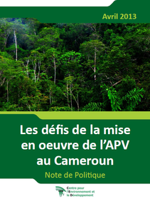 Les défis de la mise en oeuvre de l’APV au Cameroun - Note de Politique 