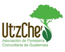 Asociación de Forestería Comunitaria de Guatemala Ut'z Che'